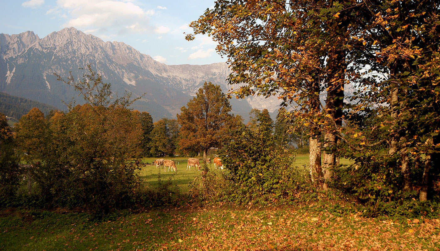 Herbst in Söll